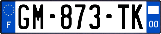 GM-873-TK