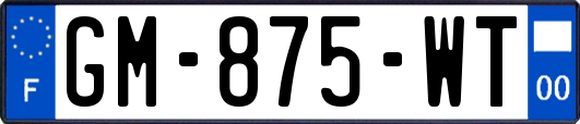 GM-875-WT