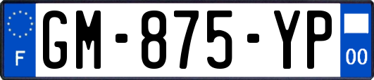 GM-875-YP