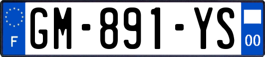GM-891-YS