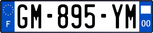 GM-895-YM