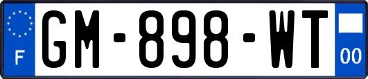 GM-898-WT