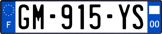 GM-915-YS