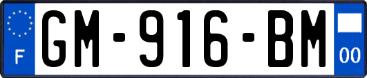 GM-916-BM