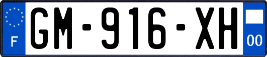 GM-916-XH