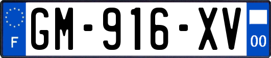 GM-916-XV