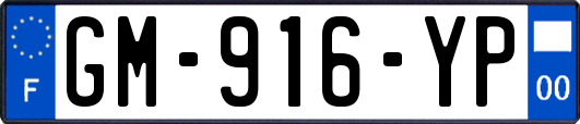 GM-916-YP