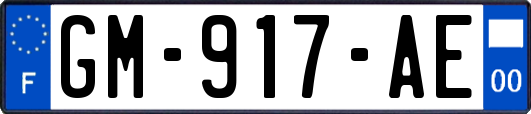 GM-917-AE