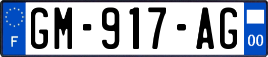 GM-917-AG