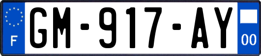 GM-917-AY