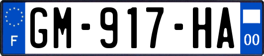 GM-917-HA