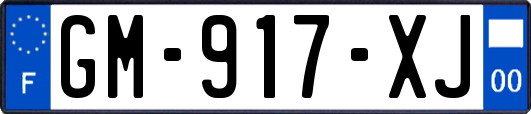 GM-917-XJ