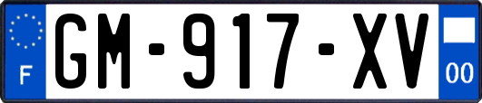 GM-917-XV