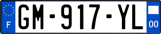 GM-917-YL