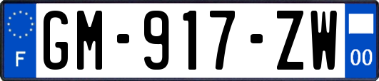 GM-917-ZW