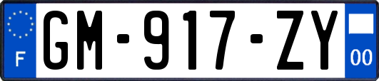 GM-917-ZY