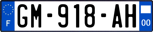 GM-918-AH