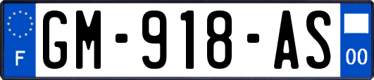 GM-918-AS