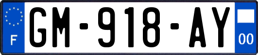 GM-918-AY