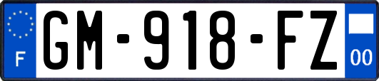 GM-918-FZ