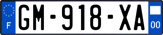 GM-918-XA