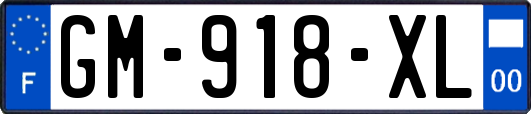 GM-918-XL