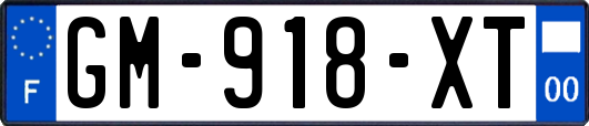 GM-918-XT