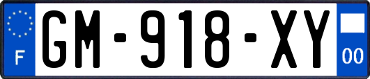 GM-918-XY