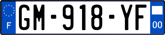 GM-918-YF