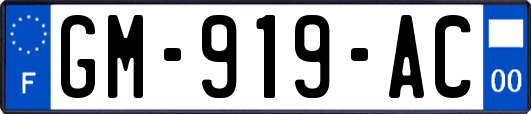 GM-919-AC