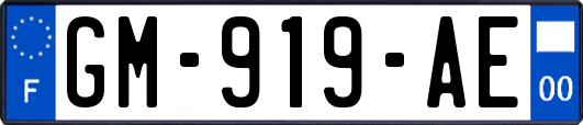 GM-919-AE
