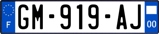 GM-919-AJ