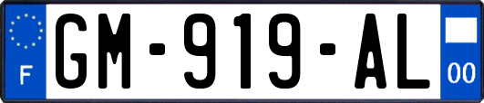 GM-919-AL