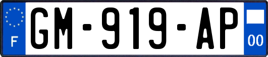 GM-919-AP