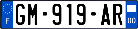 GM-919-AR