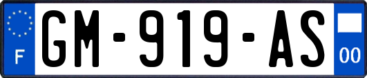 GM-919-AS