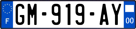 GM-919-AY
