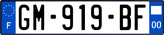 GM-919-BF