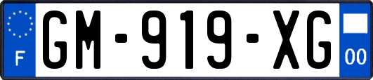 GM-919-XG