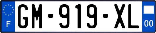 GM-919-XL