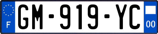 GM-919-YC