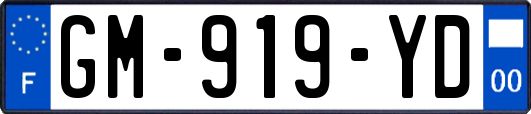 GM-919-YD