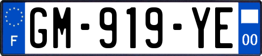 GM-919-YE