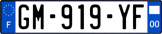 GM-919-YF