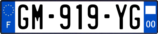 GM-919-YG