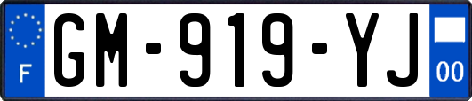 GM-919-YJ