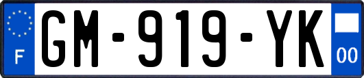GM-919-YK
