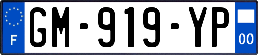 GM-919-YP