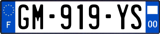 GM-919-YS