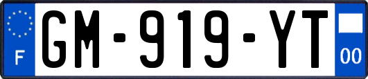 GM-919-YT
